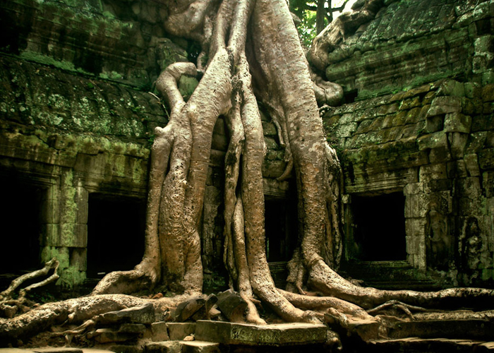 Ta Prohm Temple